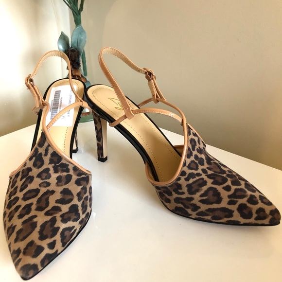 Zizi Leather Animal Print Pointy Toe Shoes - Picture 2 of 6